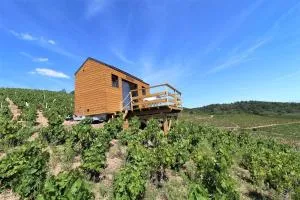 Tiny house au cœur du vignoble beaujolais - Les Ardillats