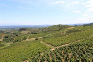 Maisons d'hotes Tiny house au coeur du vignoble beaujolais : photos des chambres