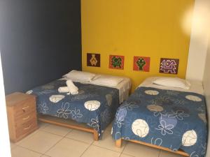 Paracas Backpackers House