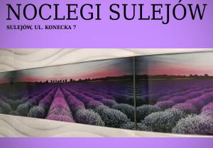 Noclegi Sulejów