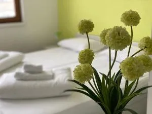 弗钦含旅馆 - 萨拉热窝