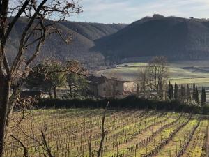 Agriturismo Beata Vanna