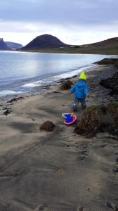 Gemlufall guesthouse