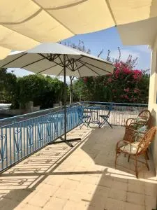 Pomelie di Vendicari - San Paolo