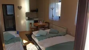 Studio apartman Salopek - 奥古林