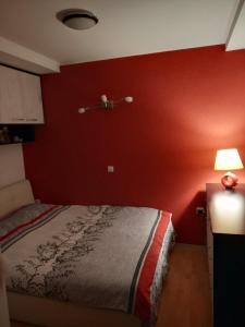 Brand New Apt in City Center