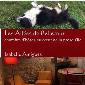 Appartements Les Allees de Bellecour : photos des chambres