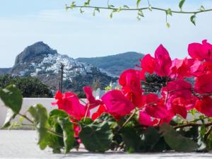 Skyrian Mansion Frosyni Skyros Greece