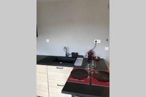 Appartements Studio cosy et raffine en hypercentre : photos des chambres