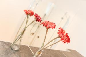 Logierhaus-Greetsiel S