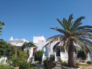 Nyfes Traditional Boutique Faltaina