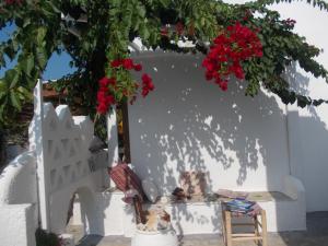 Skyrian Mansion Faltena Skyros Greece