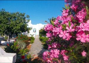 Σκυριανό δώμα Βαγγελιώ Skyros Greece