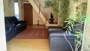 3 hviezdičkov&yacute; hotel popas stana costesti Vaslui Rumunsko