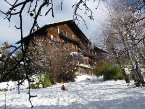 Appartements Le Vieux Chalet : photos des chambres