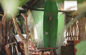 Nature Rex Hostel