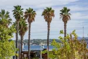 Appartements Les balcons de Bandol Centre ville avec vue mer et face a la plage : photos des chambres