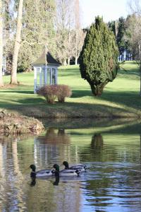 Hotels Chateau de la Bribourdiere : photos des chambres