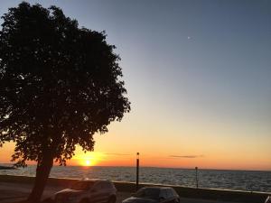 Curonian Coast studio