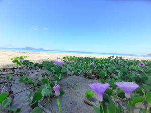 Cameron Island Resort