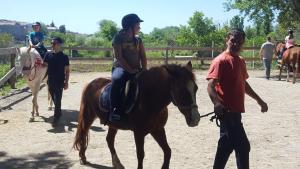 Luxury Apartments Mia