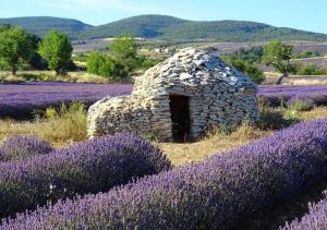 Maisons de vacances La Feniere : photos des chambres