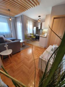 Apartment Cerska MRB
