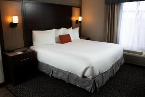 King Room - Non-Smoking room in Wingate by Wyndham - DFW North