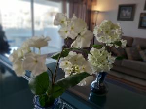 Del Parque Flats - Puerto Marina