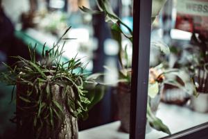 Hotels Hotel Monsieur Helder : photos des chambres