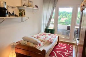 Apartement Cozy,next to Uni,near old town-WIFI,Parking,TV Regensburg Saksamaa