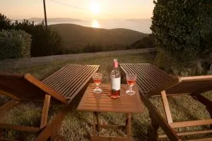 Alexandra's Dreamhouse! - Chrisokellaria