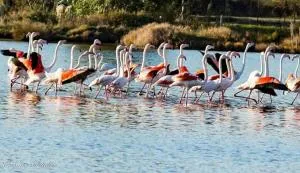 B&B Levante Posada - Posada