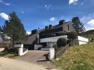 Luxus-Landhaus im Schwarzwald/Baiersbronn mit Pool - 弗罗伊登施塔特