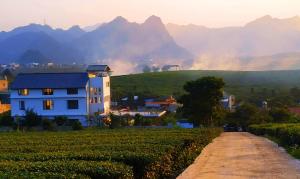 Moc Chau Cottage homestay