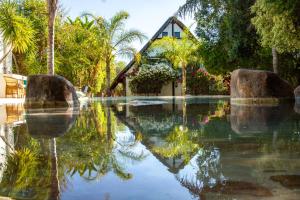 Out of Africa Town Lodge