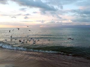 Baabe Villen Ensemble FeWo 31 Stra