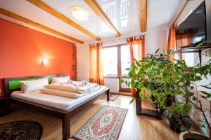 Triple Room room in Rodinný penzión