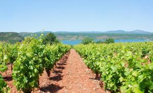 Campings Nature Holiday's Domaine La Grenatiere : photos des chambres