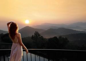 Poetree Thekkady
