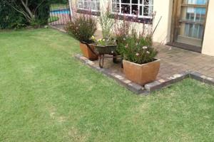 Clarens socialites, Thatch Cottage #1