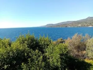 Appartement cours Bonaparte - Foce