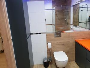 Vera Apartment Świeradów-Zdrój Zakopiańska 22 C m10