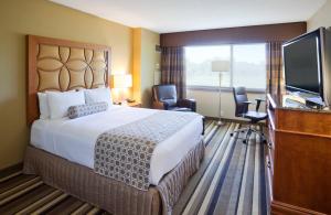 Standard Queen Room room in Crowne Plaza Hotel-Minneapolis West-Plymouth an IHG Hotel