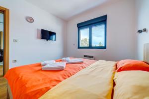 Apartment Victory in Vila Pekovic