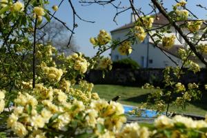B&B / Chambres d'hotes Bois de Cadene : photos des chambres