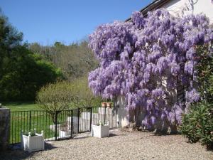 B&B / Chambres d'hotes Bois de Cadene : photos des chambres