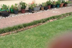 Clarens Socialites Garden Apartment #2