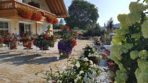 Appartement Rehblick