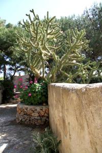 Il GIARDINO della FALENA